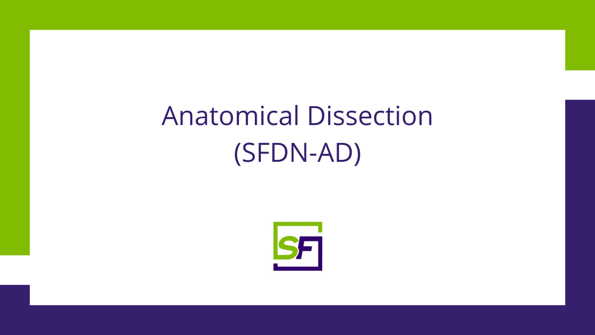 Featured image for Banner for Foundations in Anatomical Dissection (SFDN-AD)