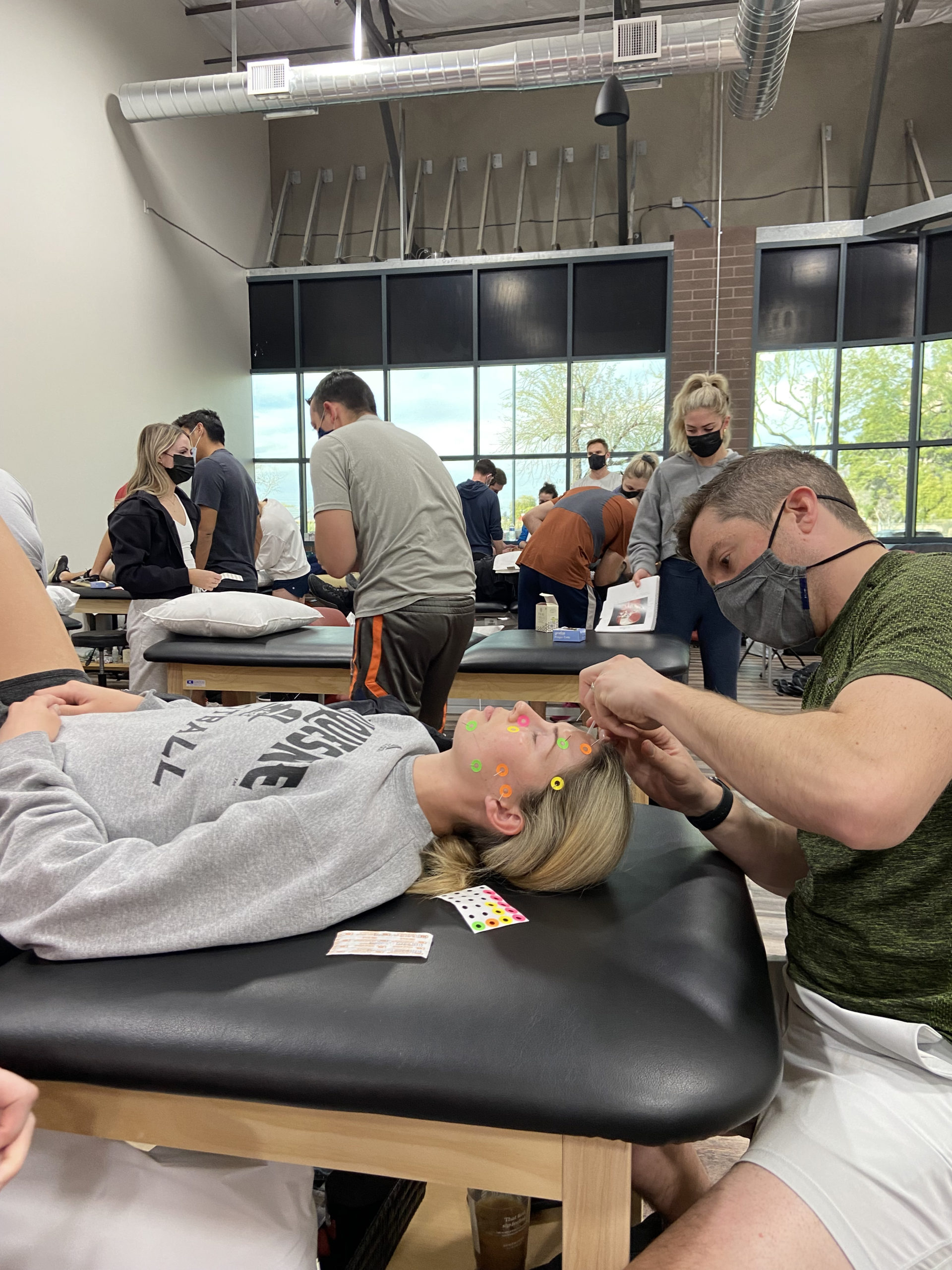 Foundations in Dry Needling for Orthopedic Rehab and Sport Performance (SFDN1) Course Description