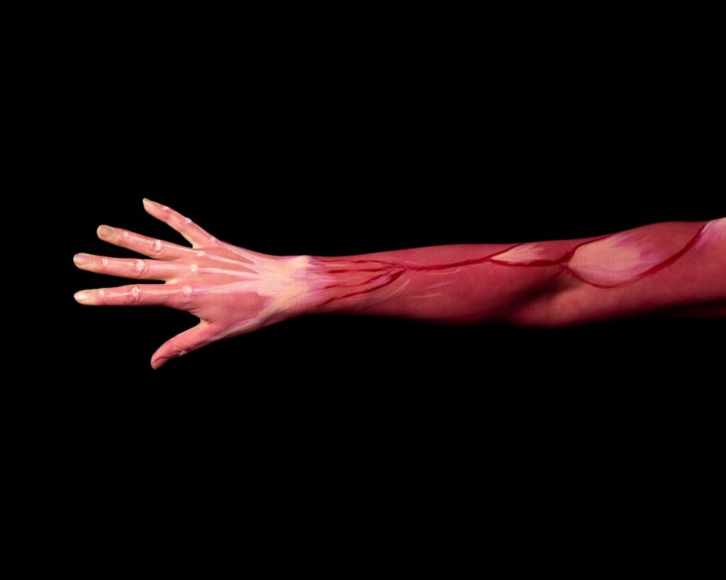 Body paint of hand and arm with muscle structure.