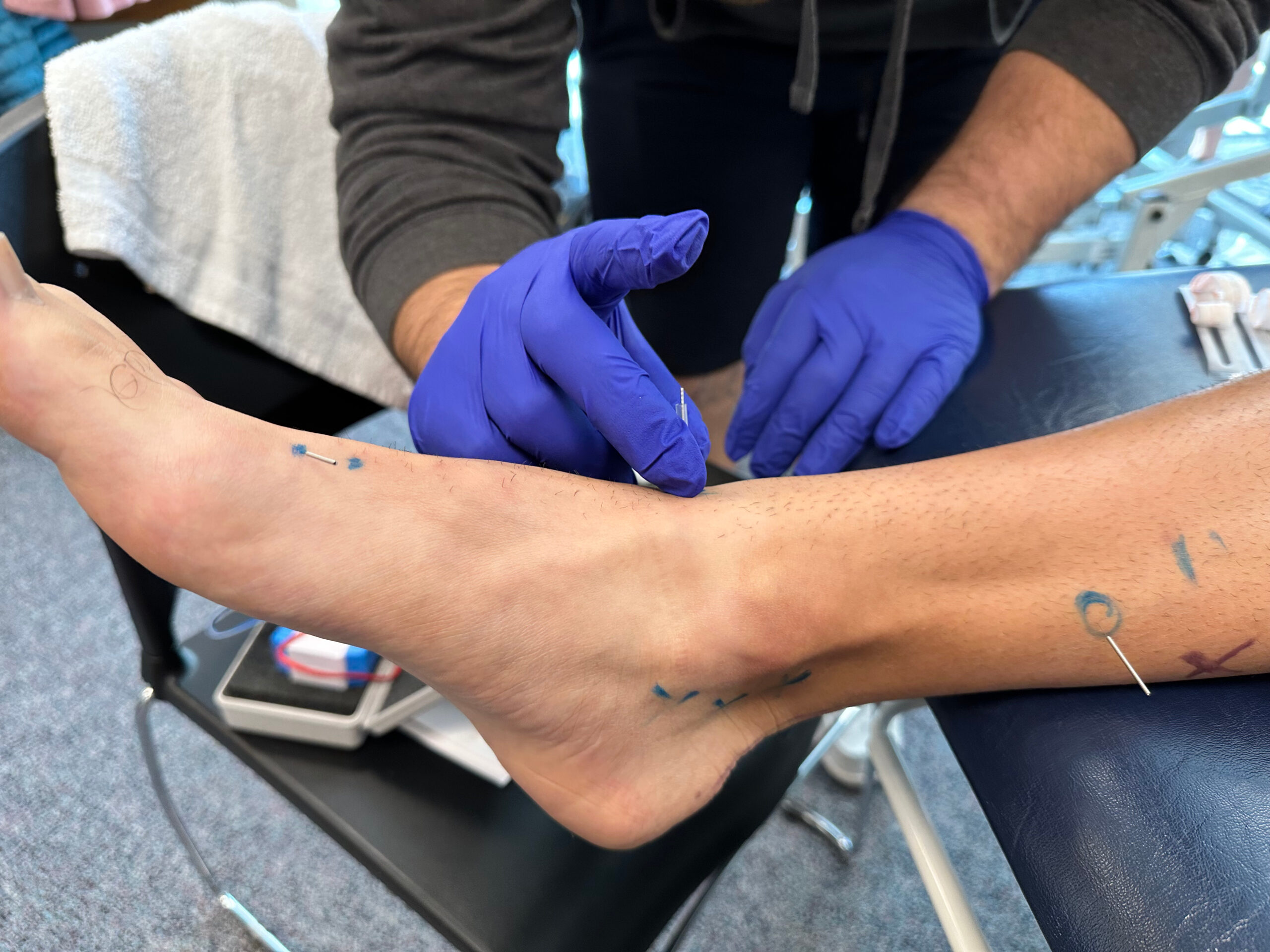 SFDN1 class picture from 2025