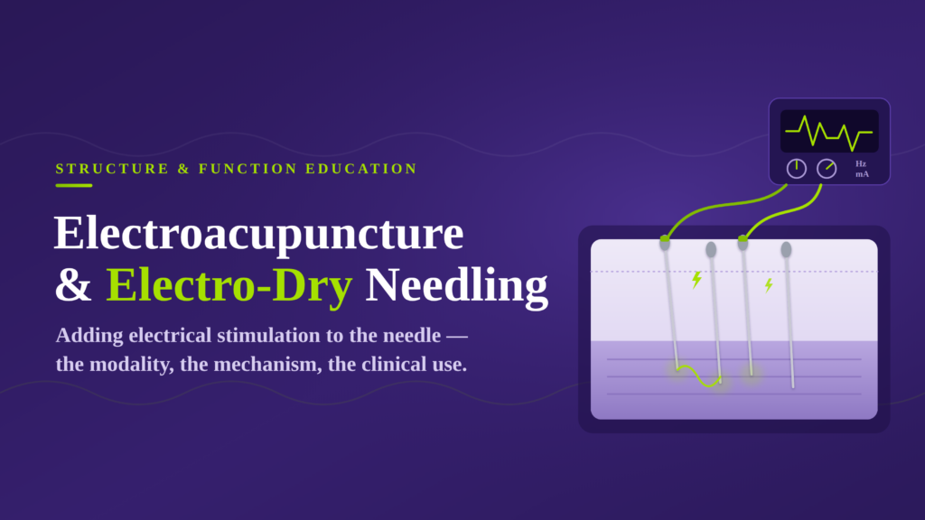 electroacupuncture and electro-dry needling