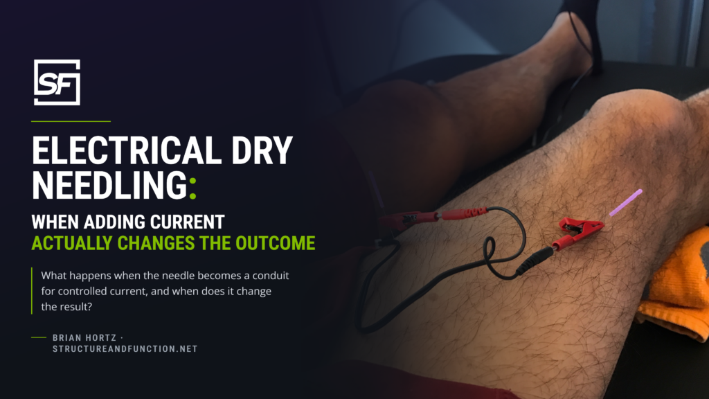 electrical dry needling